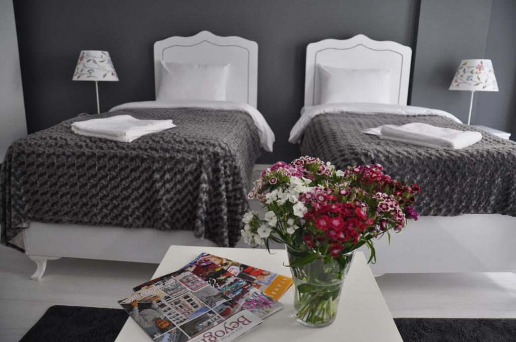 Aristo Galata Suites イスタンブール 部屋 写真